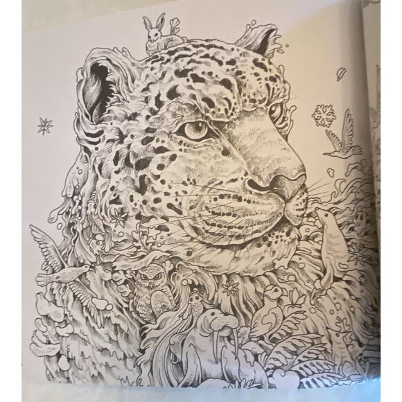 Imagimorphia : An Extreme Coloring and Search Challenge by Kerby Rosanes (2016) - Picture 12 of 16